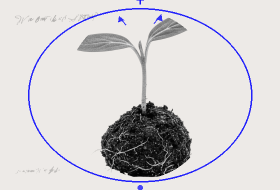 Lern- & Innovationskultur — Wie Organisationen lernen